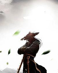 笨蛋美人的快穿之旅